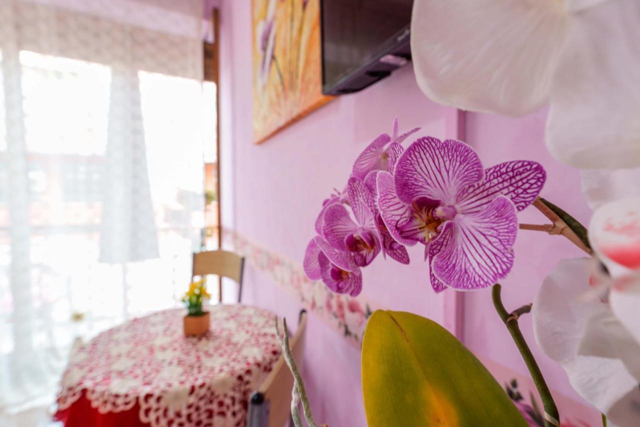 Bed And Breakfast Dolce Vita Болонья Екстер'єр фото